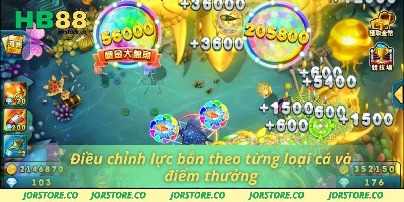Điều chỉnh lực bắn theo từng loại cá và điểm thưởng